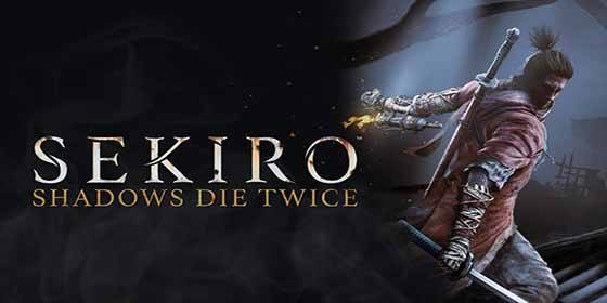 Sekiro Shadows Die Twice on PC